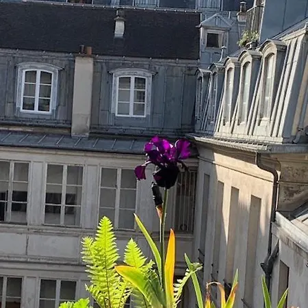 Marais Favorite Paris